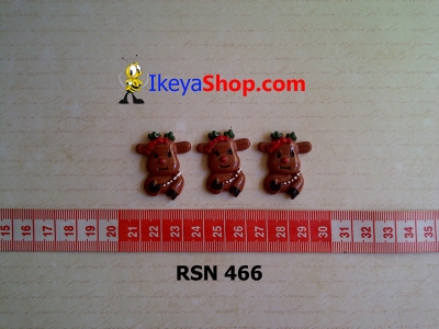rsn 466  large2